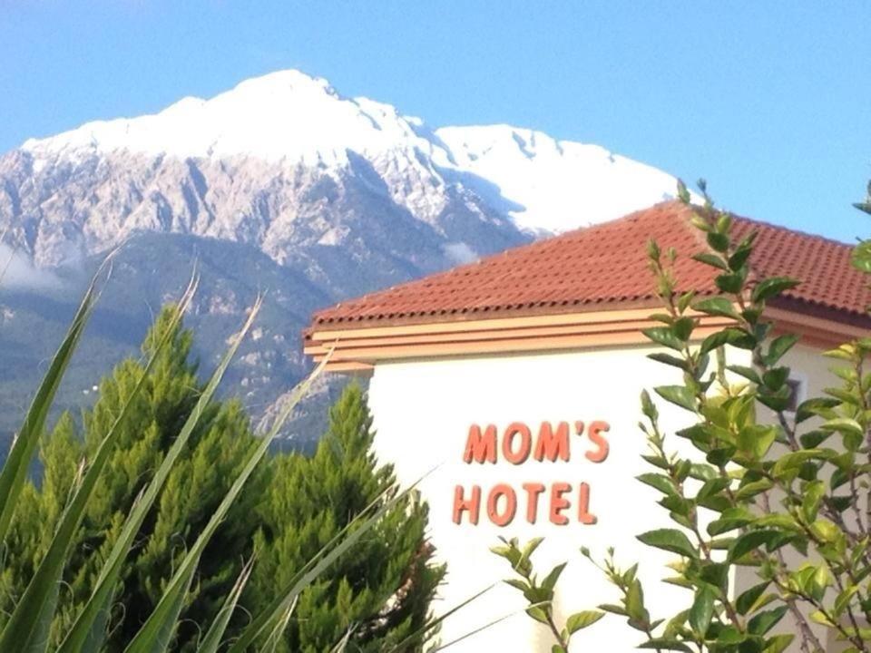 Mg Moms Hotel เกเมร์ ภายนอก รูปภาพ